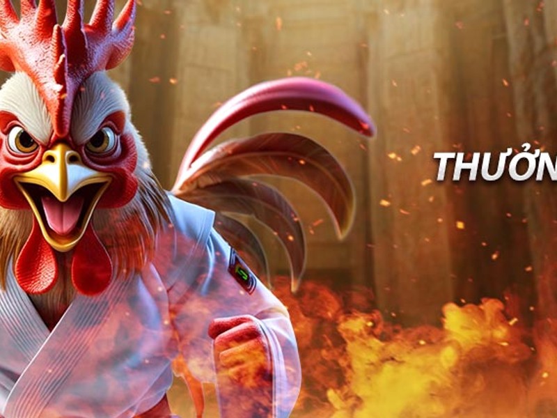 Cầu thủ tennis đang giao bóng trên sân, biểu tượng của cá cược quần vợt GK88